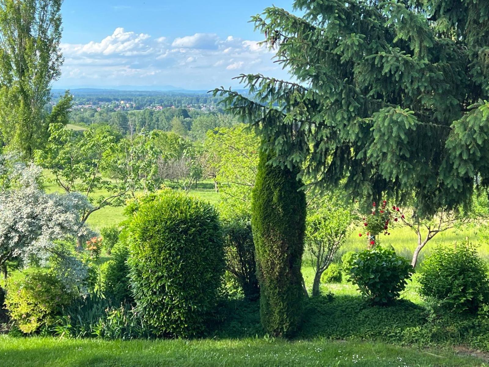 Ferienwohnung Dorner Spielfeld Exteriér fotografie