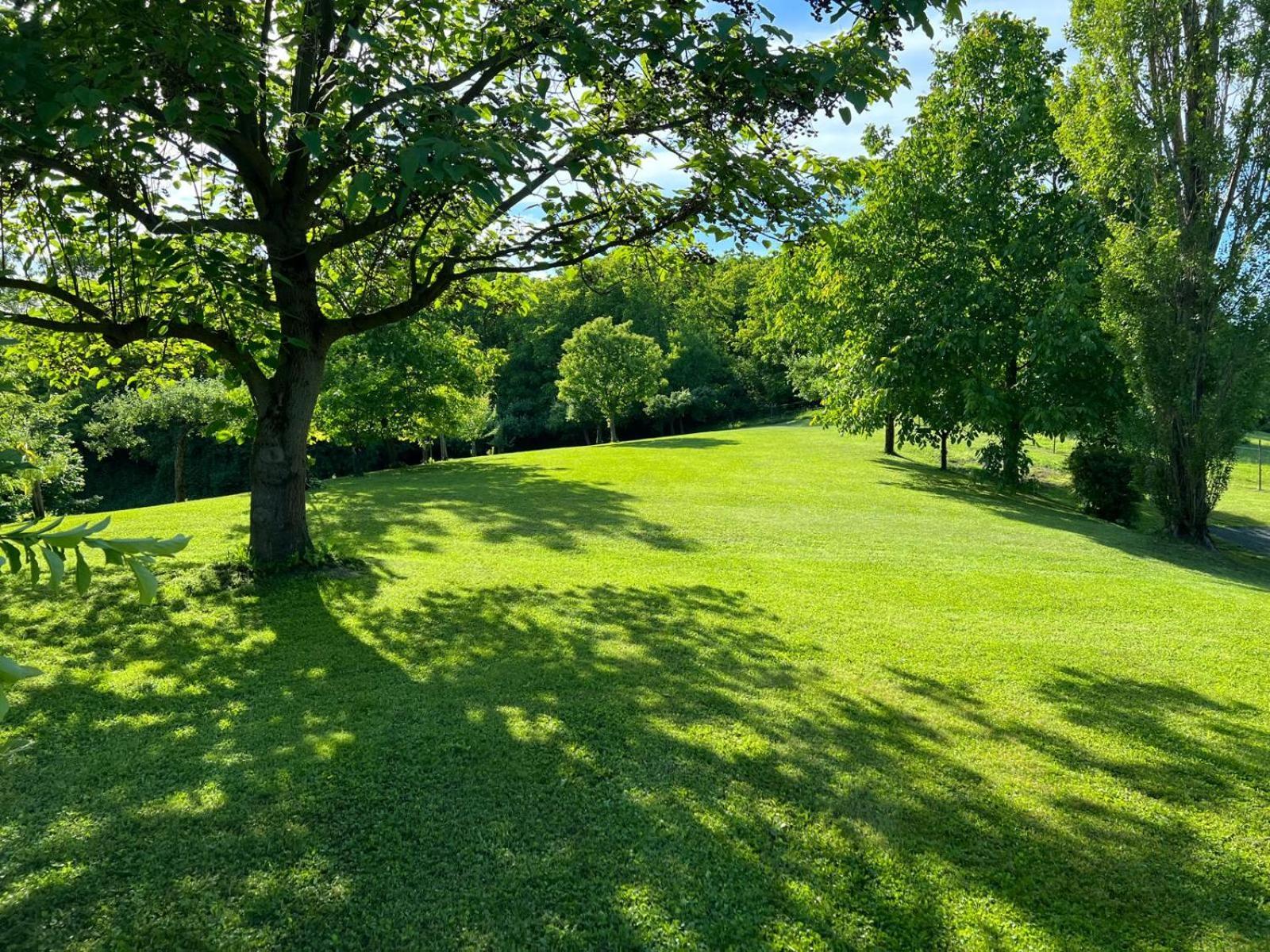 Ferienwohnung Dorner Spielfeld Exteriér fotografie