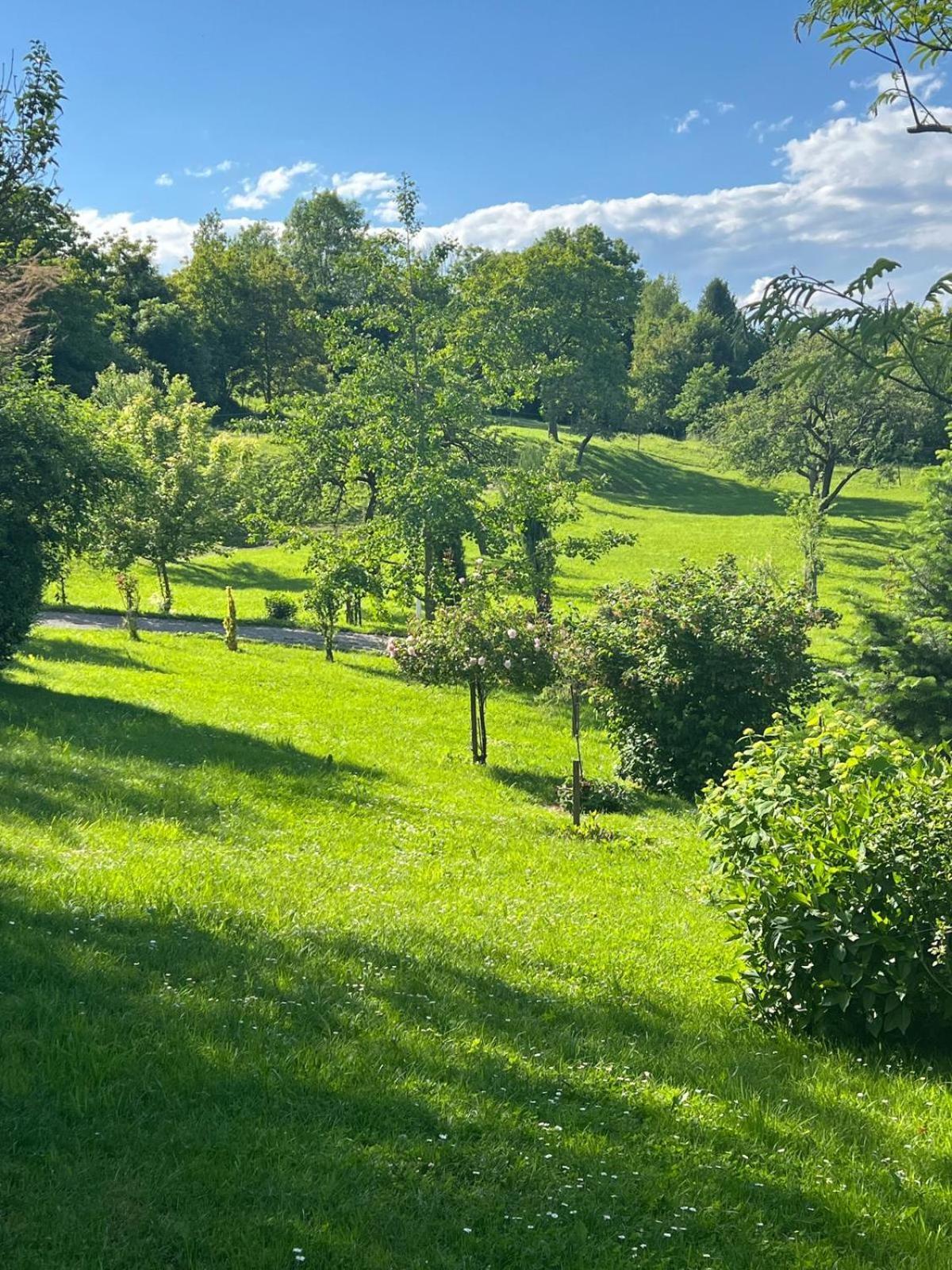 Ferienwohnung Dorner Spielfeld Exteriér fotografie